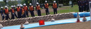 DSC00541.jpg