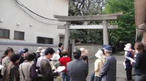 DSC00314.jpg