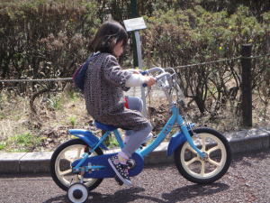 DSC04179.jpg