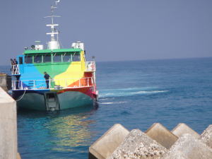 DSC06077.jpg