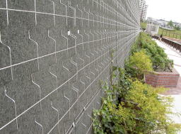 PICT2731.jpg