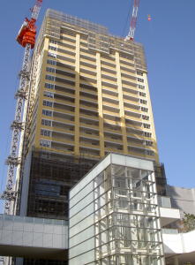 PICT8013.jpg