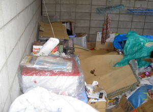 PICT8038.jpg