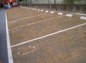 PICT8054.jpg