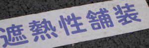 PICT8055.jpg