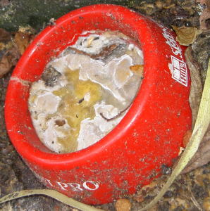 PICT8060.jpg