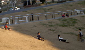 PICT8088.jpg