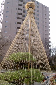 PICT8122.jpg