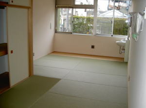 PICT8255.jpg