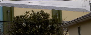 PICT8270.jpg