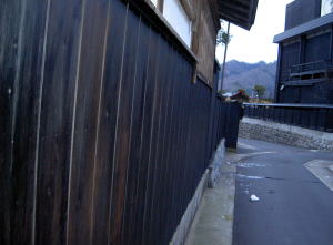 PICT8305.jpg